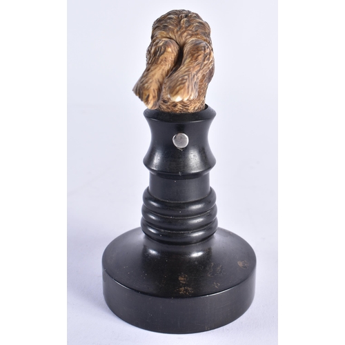 85 - A VERY RARE 19TH CENTURY EUROPEAN CARVED ARTICULATED DONKEY HEAD formed upon an ebonised base, natur... 