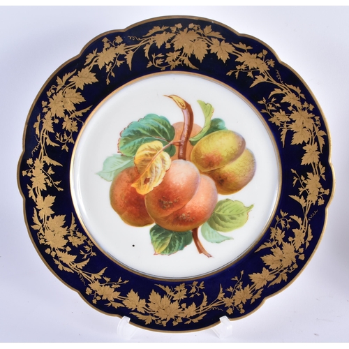 87 - A PAIR OF LATE 19TH CENTURY FRENCH SEVRES PORCELAIN CABINET PLATES painted with panels of fruit, und... 