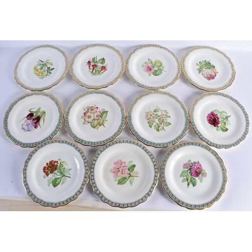 150 - A SET OF TEN 19TH CENTURY CONTINENTAL PORCELAIN BOTANICAL PLATES painted with flowers. 22cm wide. (1... 