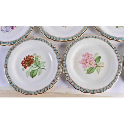 150 - A SET OF TEN 19TH CENTURY CONTINENTAL PORCELAIN BOTANICAL PLATES painted with flowers. 22cm wide. (1... 