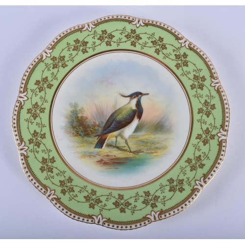 171 - Late 19th century Aynsley pair of plates painted with named birds, Plover and Woodcock, under a ligh... 