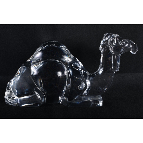 288 - A BACCARAT GLASS CAMEL. 22cm wide.