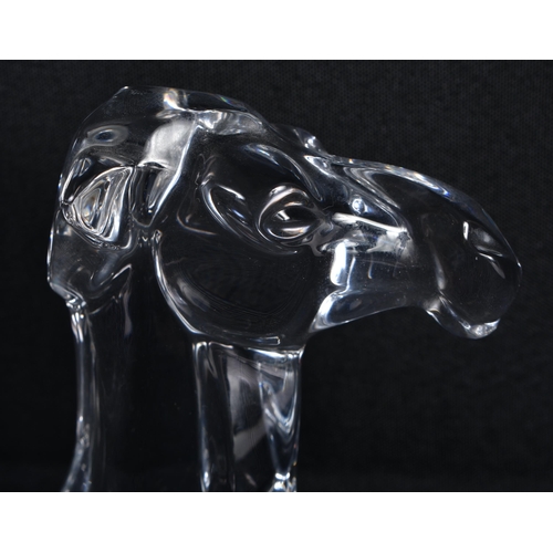 288 - A BACCARAT GLASS CAMEL. 22cm wide.