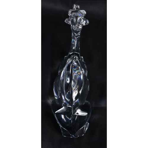 288 - A BACCARAT GLASS CAMEL. 22cm wide.