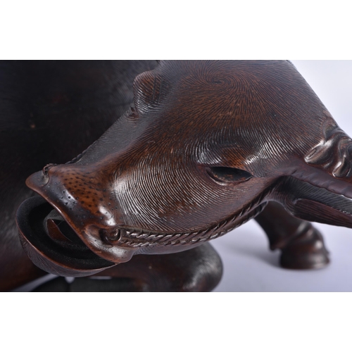 357 - A VERY FINE 19TH CENTURY CHINESE CARVED HARDWOOD FIGURE OF A BUFFALO Qing, of unusually good quality... 