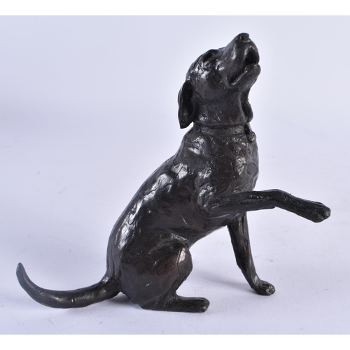 417 - AN EARLY 20TH CENTURY EUROPEAN BRONZE FIGURE OF A DOG together with a pair of old Sheffield plated s... 