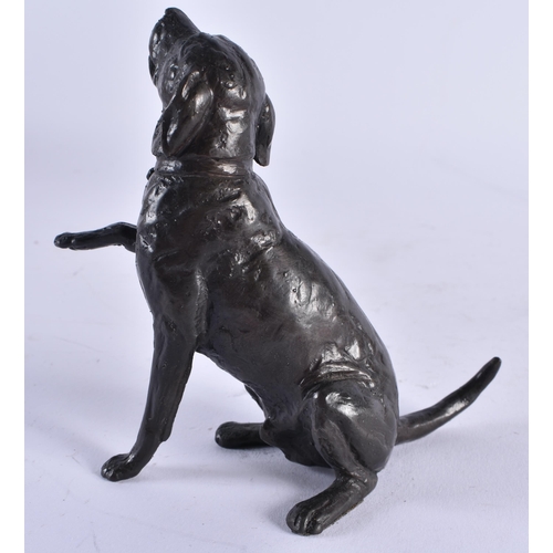 417 - AN EARLY 20TH CENTURY EUROPEAN BRONZE FIGURE OF A DOG together with a pair of old Sheffield plated s... 