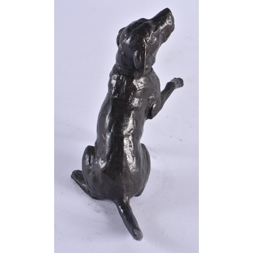 417 - AN EARLY 20TH CENTURY EUROPEAN BRONZE FIGURE OF A DOG together with a pair of old Sheffield plated s... 