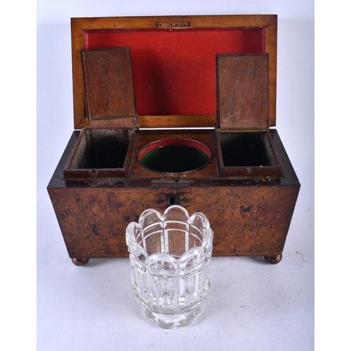 467 - A LARGE REGENCY CARVED BURR OAK COUNTRY HOUSE TEA CADDY with fitted interior. 30 cm x 18cm x 18cm.