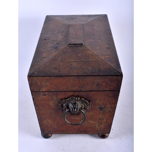 467 - A LARGE REGENCY CARVED BURR OAK COUNTRY HOUSE TEA CADDY with fitted interior. 30 cm x 18cm x 18cm.