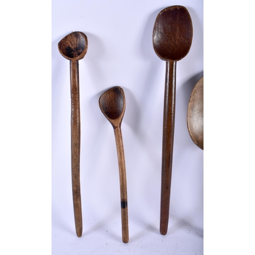 547 - SIX LARGE TREEN DAIRY BUTTER SPOONS. Largest 35 cm long. (6)