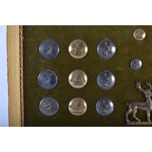 666 - A FRAMED COLLECTION OF ANTIQUE MILITARY BUTTONS. 42 cm x 18 cm.