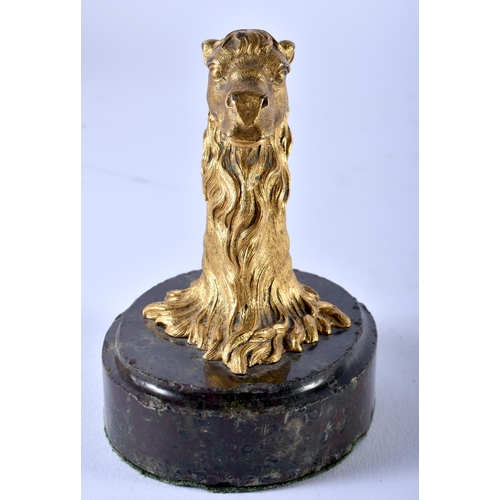 669 - A FINE AND RARE REGENCY GILT BRONZE CAMEL PAPERWEIGHT modelled upon a bloodstone base. 11 cm x 8 cm.