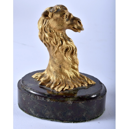 669 - A FINE AND RARE REGENCY GILT BRONZE CAMEL PAPERWEIGHT modelled upon a bloodstone base. 11 cm x 8 cm.