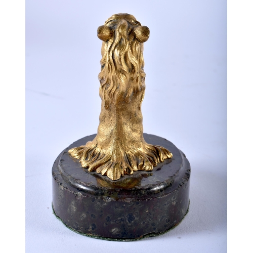 669 - A FINE AND RARE REGENCY GILT BRONZE CAMEL PAPERWEIGHT modelled upon a bloodstone base. 11 cm x 8 cm.