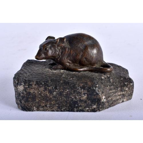 686 - AN ANTIQUE CONTINENTAL BRONZE RAT modelled on a stone base. 9 cm wide.