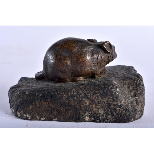 686 - AN ANTIQUE CONTINENTAL BRONZE RAT modelled on a stone base. 9 cm wide.