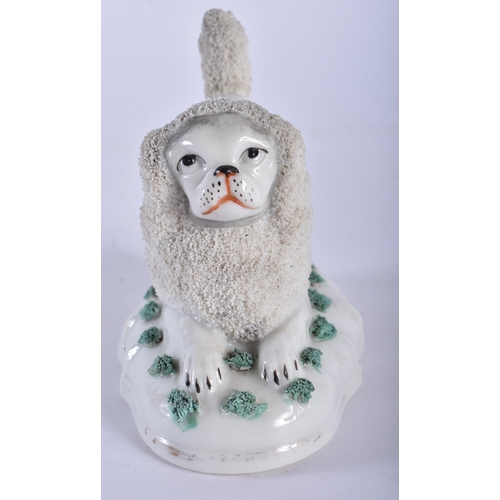 737 - A LATE 19TH CENTURY CONTINENTAL PORCELAIN FIGURE OF AN ENCRUSTED POODLE. 10 cm wide.