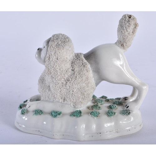 737 - A LATE 19TH CENTURY CONTINENTAL PORCELAIN FIGURE OF AN ENCRUSTED POODLE. 10 cm wide.