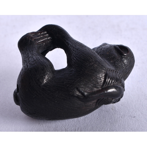 1259 - A Carved Hardwood Netsuke in the form of a Monkey. 4cm x 3.6cm x 2.4cm, weight 12.5g