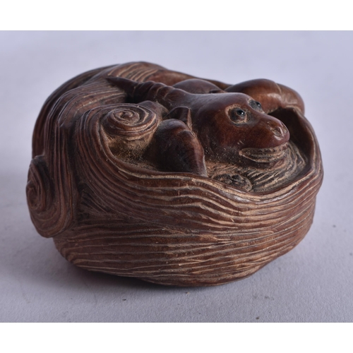 1284 - A Carved Hardwood Netsuke in the form of a Mythical Beast in a Basket. 3.2cm x 5.1cm x 5.6cm, weight... 