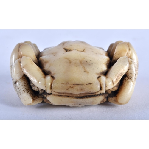 1334 - A JAPANESE CARVED BONE OKIMONO OF A CRAB. 45 grams. 5.75 cm x 3.75 cm.