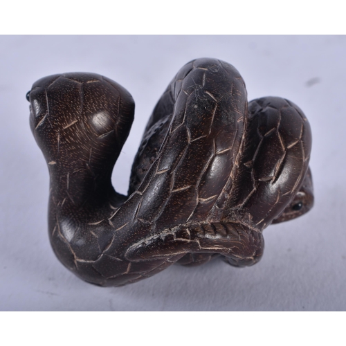 1399 - A JAPANESE BOXWOOD SNAKE NETSUKE. 21.3 grams. 5 cm x 4 cm.