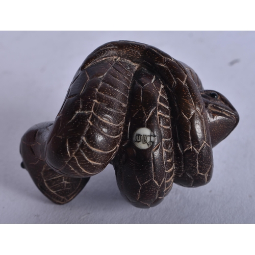 1399 - A JAPANESE BOXWOOD SNAKE NETSUKE. 21.3 grams. 5 cm x 4 cm.