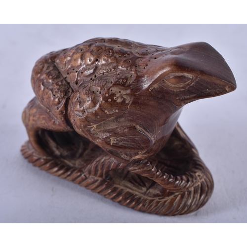 1404 - A JAPANESE BOXWOOD TOAD NETSUKE. 24.2 grams. 6 cm x 4 cm.