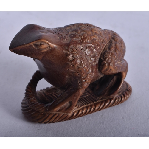 1404 - A JAPANESE BOXWOOD TOAD NETSUKE. 24.2 grams. 6 cm x 4 cm.