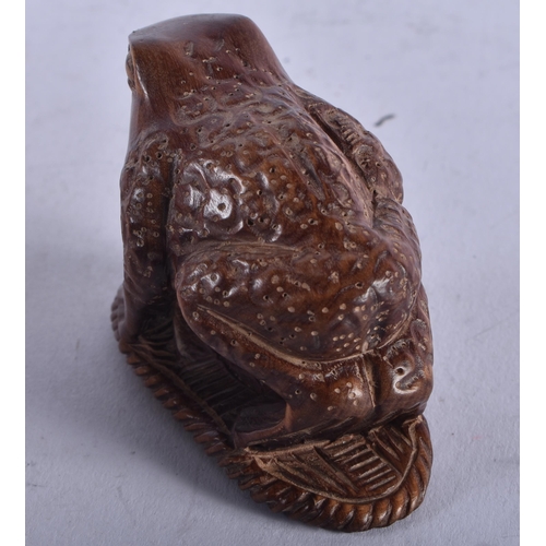 1404 - A JAPANESE BOXWOOD TOAD NETSUKE. 24.2 grams. 6 cm x 4 cm.