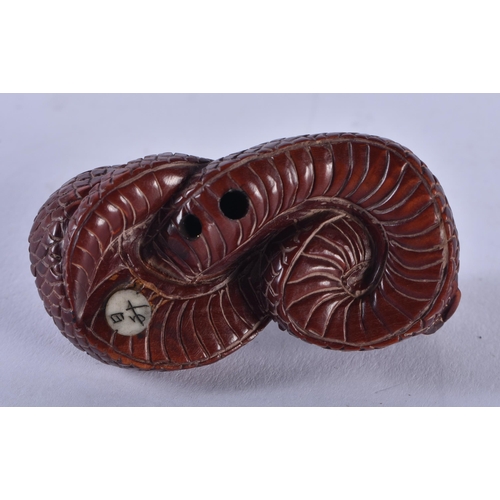 1408 - A JAPANESE BOXWOOD SNAKE NETSUKE. 13 grams. 2.5 cm x 5.25cm.