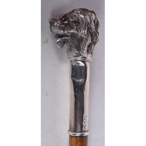 1443 - A Victorian Riding Crop with a Silver Dogs Head Top.36 cm long, Hallmarked London 1896, weight 71g