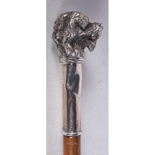 1443 - A Victorian Riding Crop with a Silver Dogs Head Top.36 cm long, Hallmarked London 1896, weight 71g