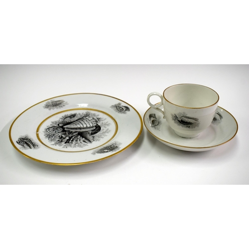 138 - Early 19th century Barr Flight and Barr plate well printed with shells and a Flight Barr and Barr cu... 