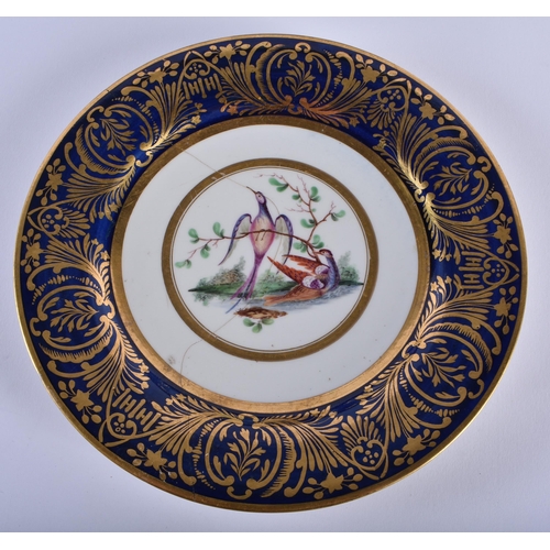 23 - AN UNUSUAL SET OF THREE EARLY 19TH CENTURY FLIGHT BARR & BARR WORCESTER PLATES finely painted with s... 