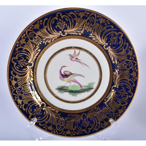 23 - AN UNUSUAL SET OF THREE EARLY 19TH CENTURY FLIGHT BARR & BARR WORCESTER PLATES finely painted with s... 