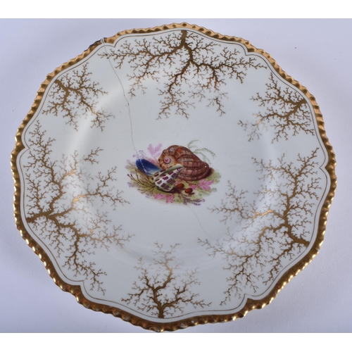 42 - FOUR EARLY 19TH CENTURY FLIGHT BARR AND BARR WORCESTER PLATES painted with landscapes, shells and fl... 