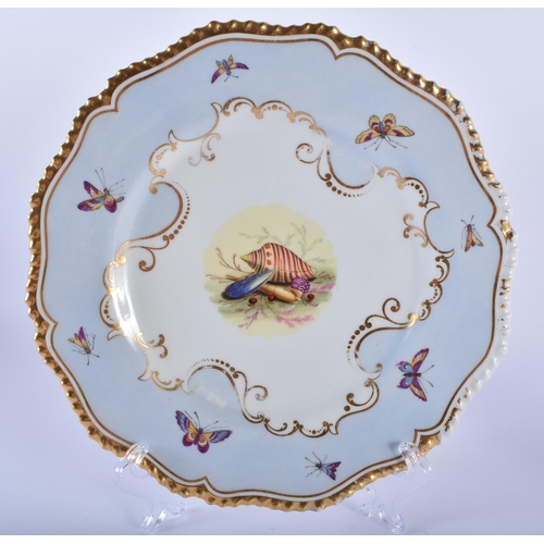 49 - A PAIR OF EARLY 19TH CENTURY FLIGHT BARR AND BARR WORCESTER SCALLOPED PLATES painted with shells, la... 