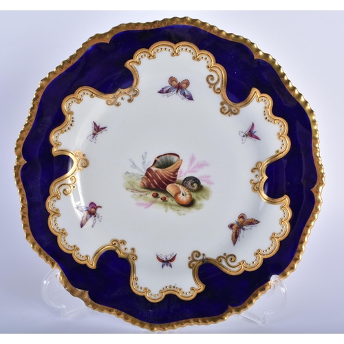 50 - A PAIR OF EARLY 19TH CENTURY FLIGHT BARR AND BARR WORCESTER SCALLOPED PLATES painted with shells, la... 