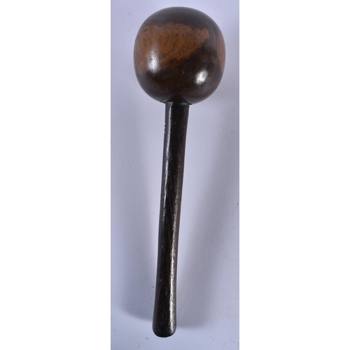 Lot 509       