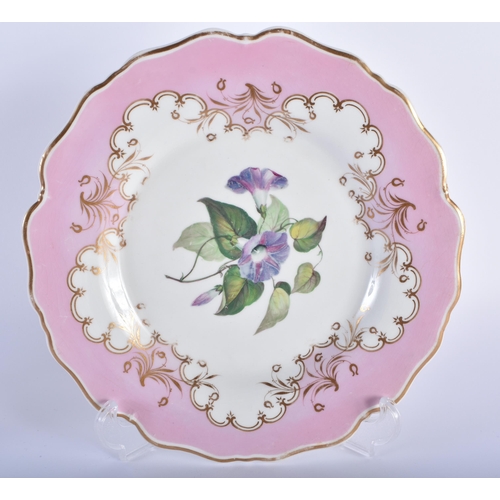 51 - A PAIR OF EARLY 19TH CENTURY CHAMBERLAINS WORCESTER PINK GROUND BOTANICAL PLATES together with a Fli... 