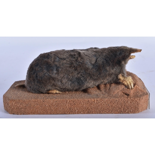 Lot 527       