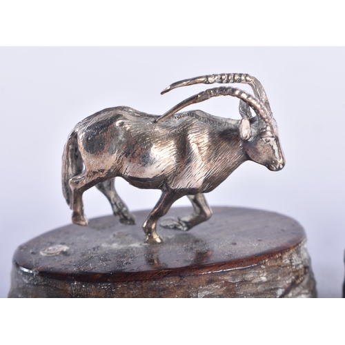 108 - FOUR MINIATURE PATRICK MAVROS SILVER ANIMALS. Largest 6.75 cm wide. (4)