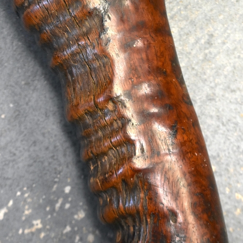 207 - A FINE 19TH CENTURY FIJIAN ISLANDS TRIBAL GUNSTOCK WAR CLUB Kiakavo or Gatawaka. 95 cm long.