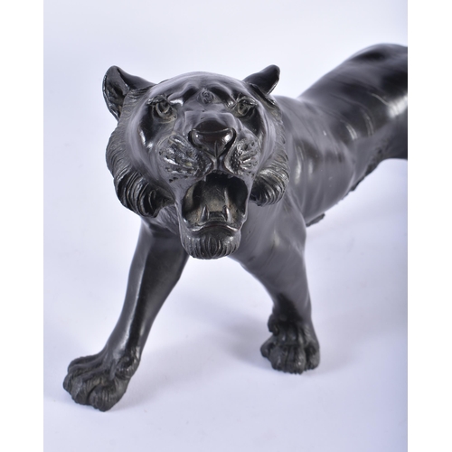 211 - A LARGE 19TH CENTURY JAPANESE MEIJI PERIOD BRONZE OKIMONO modelled as a tiger. 52 cm long.