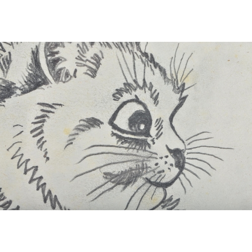 239 - After Louis Wain (1860-1939) Pencil Sketch, Study of a cat. 30 cm x 27 cm.