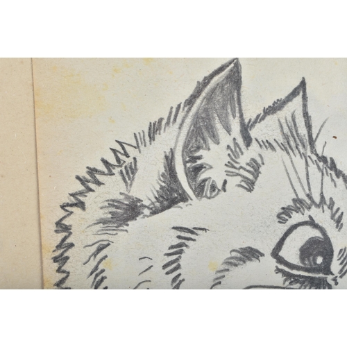 239 - After Louis Wain (1860-1939) Pencil Sketch, Study of a cat. 30 cm x 27 cm.