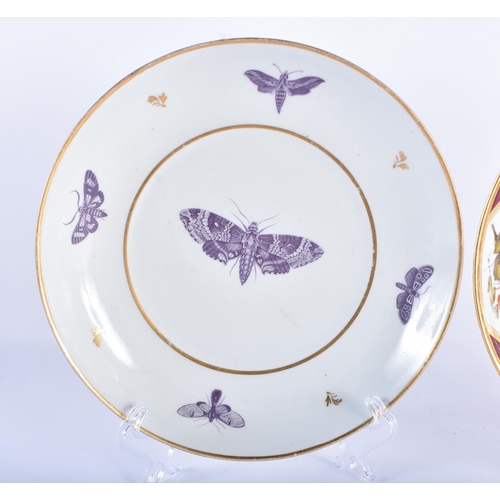 36 - TWO FINE EARLY 19TH CENTURY FLIGHT BARR & BARR WORCESTER DISHES one painted with puce moths, the oth... 