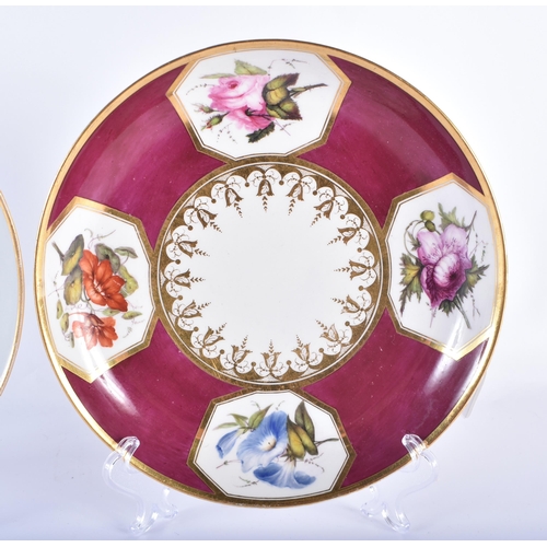 36 - TWO FINE EARLY 19TH CENTURY FLIGHT BARR & BARR WORCESTER DISHES one painted with puce moths, the oth... 